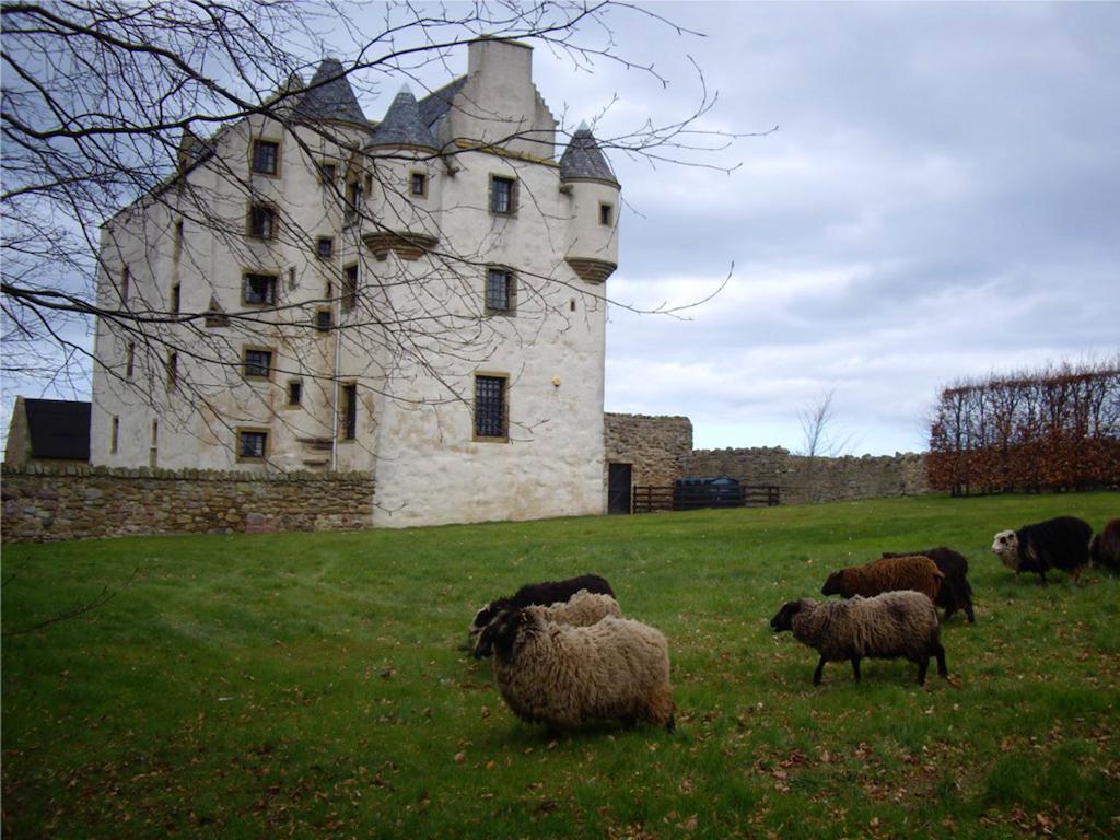 Bed and Breakfast Faside Estate à Musselburgh Extérieur photo