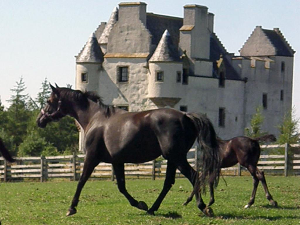 Bed and Breakfast Faside Estate à Musselburgh Extérieur photo